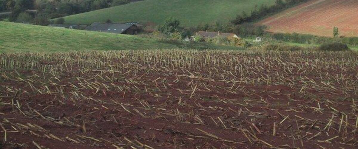 A rural landscape with rolling hills, a field of crops, and a small house in the distance.