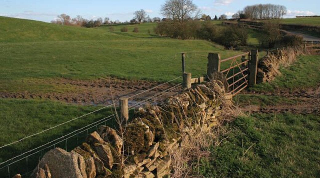 Countryside near Morcott This drystone wall is made from the local limestone. Wing Road can be seen to the far right. Looking towards Morcott.