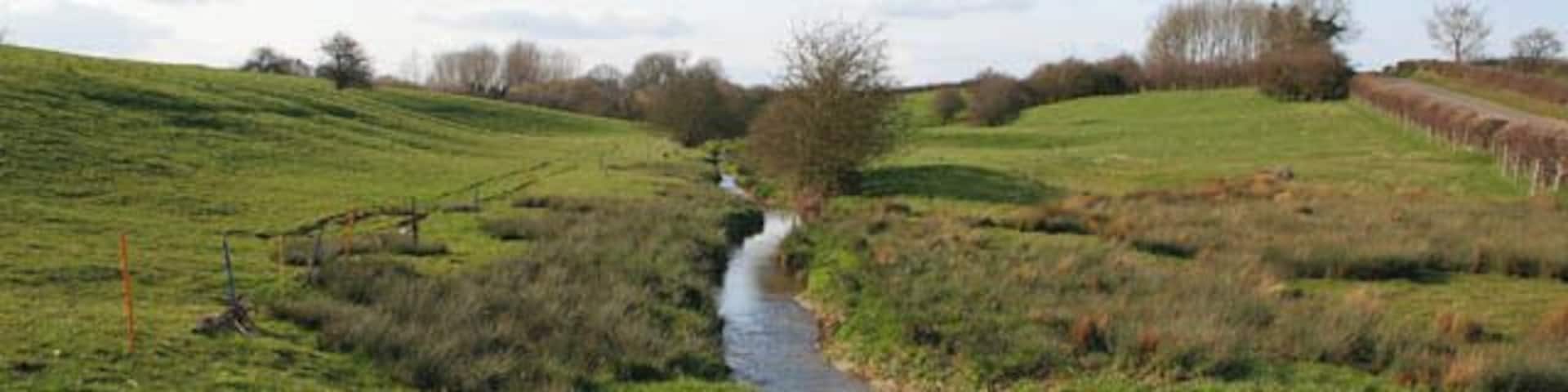 Brook between Pilton and Morcott Looking upstream. This brook is a tributary of the River Chater. Wing Road can be seen on the far right.