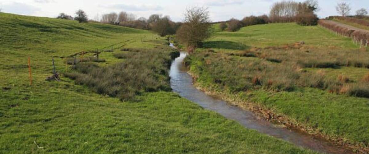 A narrow stream flowing through a green field with gentle slopes and sparse trees in the background.
