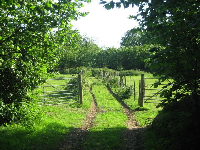 Old Orchard on Back Lane OS Maps show this orchard is right beside the lane. But land close to lane has been turned into scrub land.