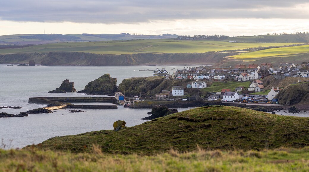 Panoramic view of St Abbs in Scotland with cliffs, harbor, and sea under cloudy light.
