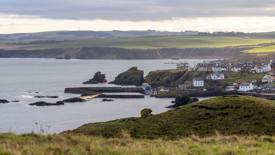 A coastal town with houses, rocky outcrops, and a harbor.