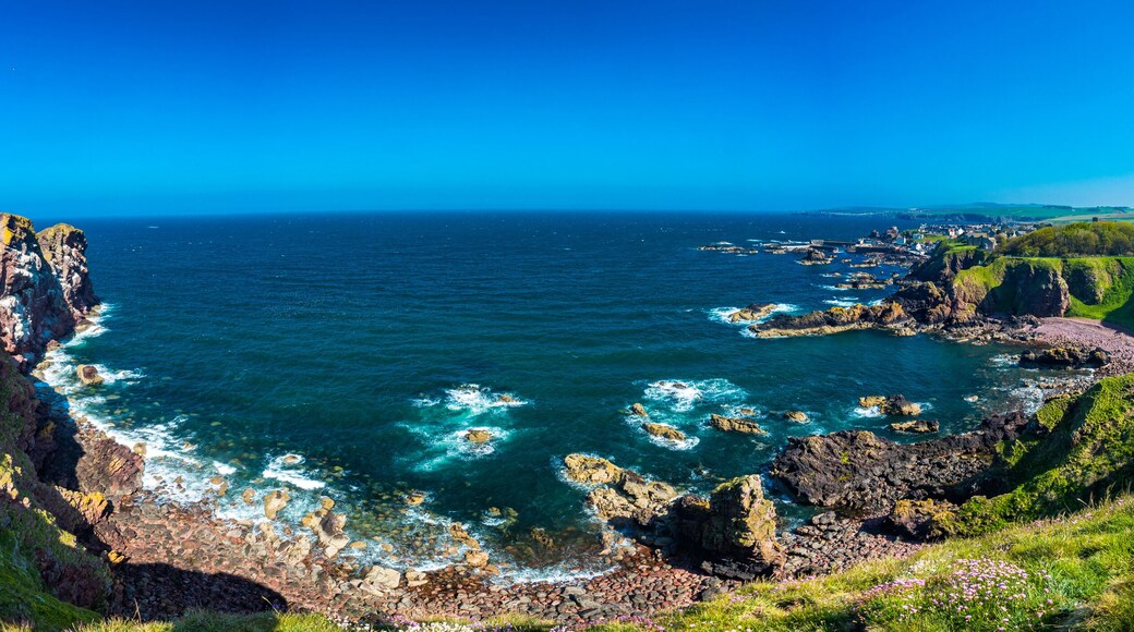 Village of St. Abbs, Starney Bay - Nature Reserve, Berwickshire, Scotland, UK