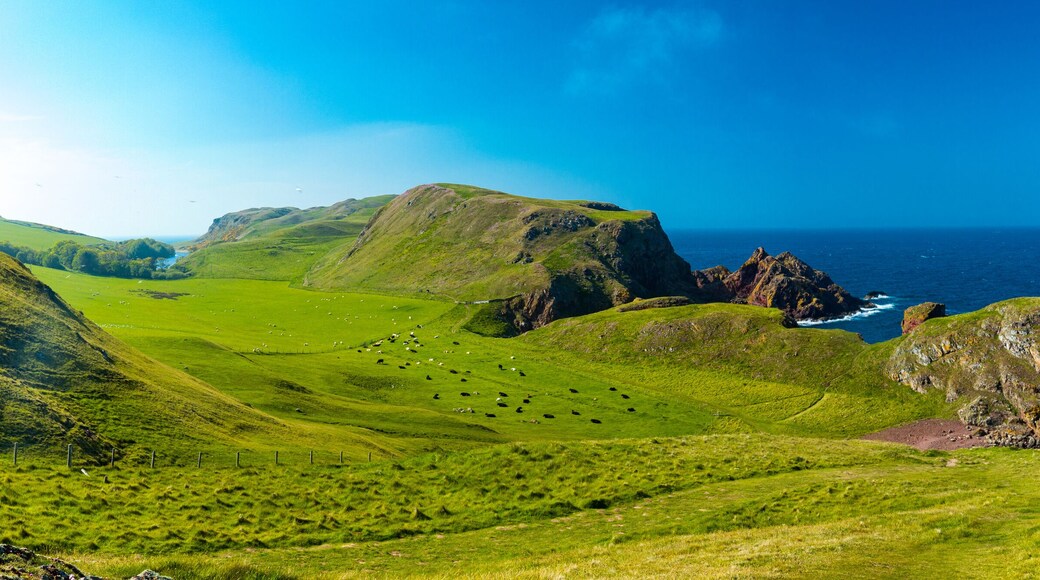 Village of St. Abbs, Starney Bay - Nature Reserve, Berwickshire, Scotland, UK