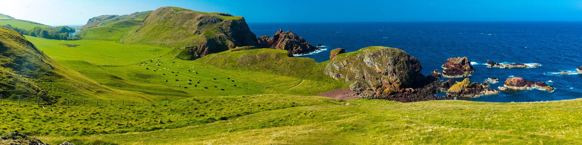 Village of St. Abbs, Starney Bay - Nature Reserve, Berwickshire, Scotland, UK