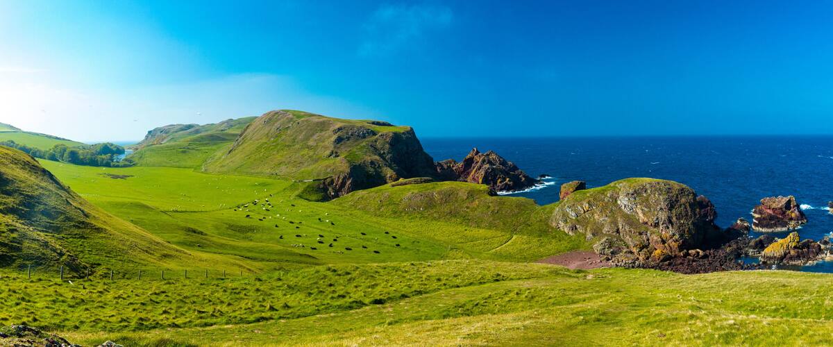 A coastal landscape with green hills, rocky outcrops, and a clear blue sky.