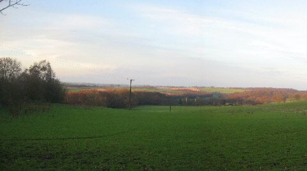 View north from Scarcroft Hall Farm. The old railway embankment can been seen on the left of the photo leading towards the bridge approximately 10 metres from where this photograph is taken.