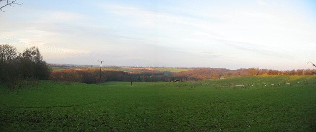 A green field with a few trees and a distant view of a town.