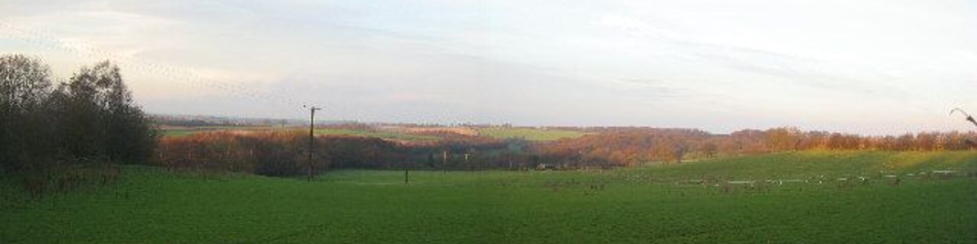 A green field with a few trees and a distant view of a town.