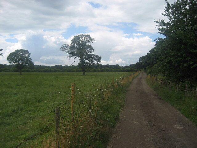Track towards Bay Horse Lane Well constructed track beside pastures full of horseflesh runs between Wood Farm on the A58 and Bay Horse Lane.