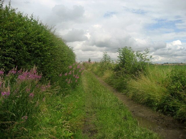 Track at Wayside Gardens The Leeds Country Way just leaving Wayside Gardens running north towards Bardsey.