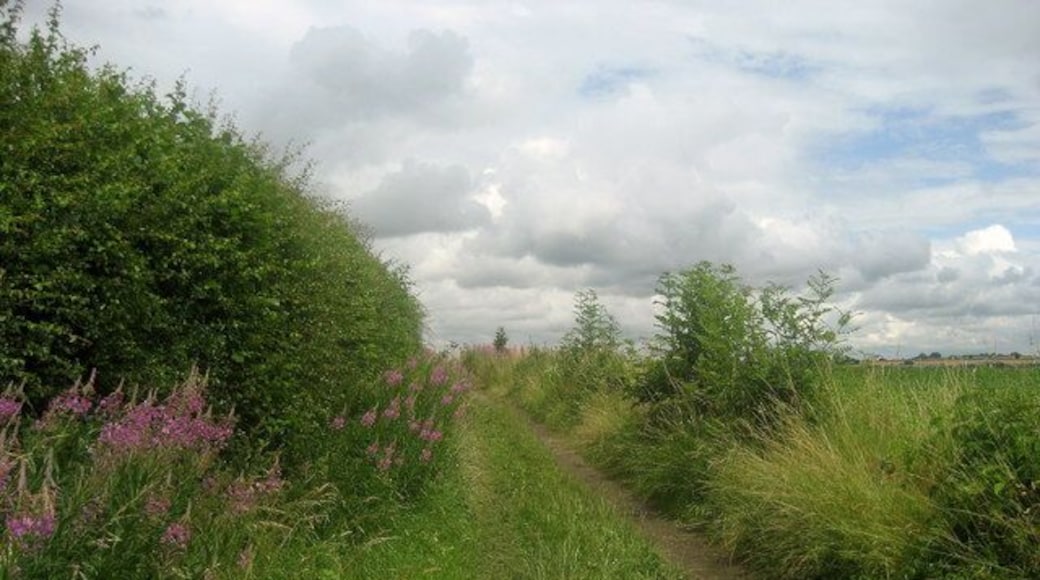 Track at Wayside Gardens The Leeds Country Way just leaving Wayside Gardens running north towards Bardsey.
