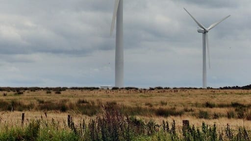 Waiting for wind....