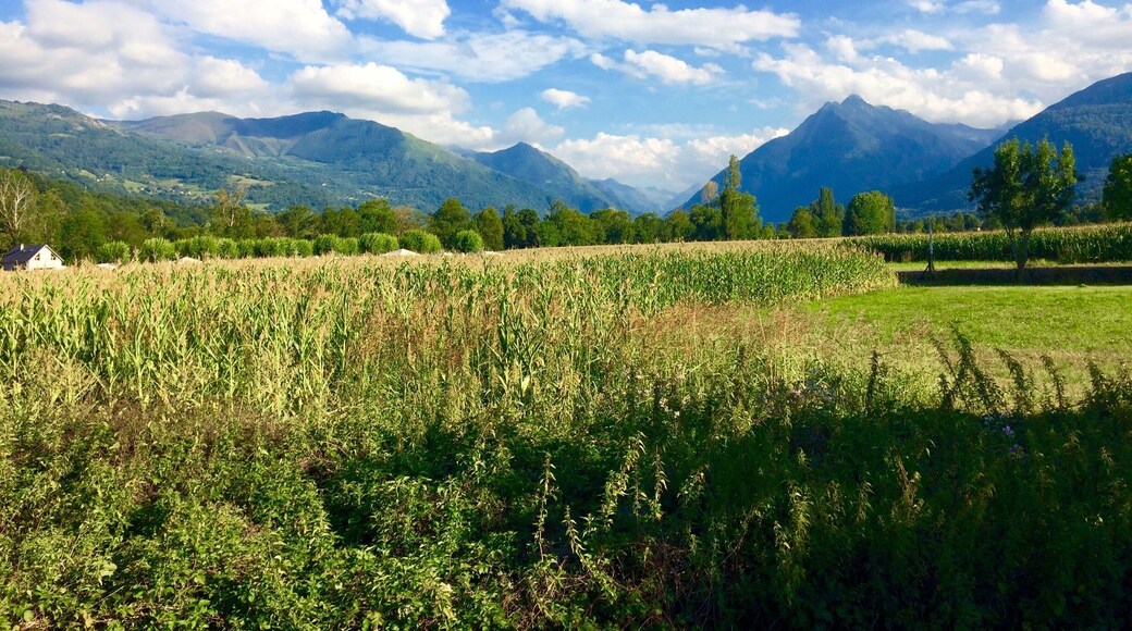Looking up the valley