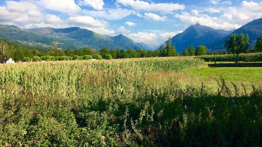 Looking up the valley