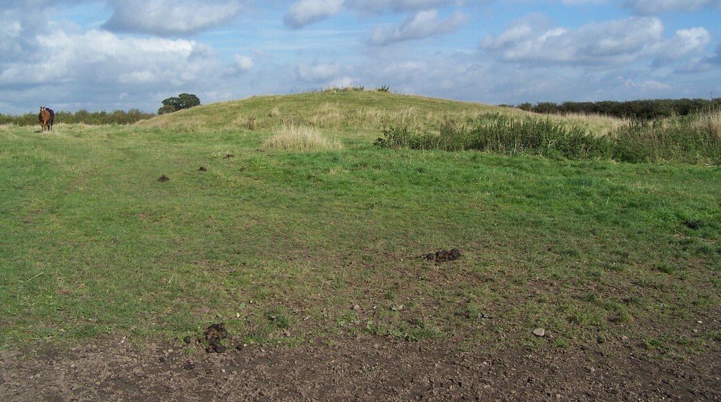 One of the remaining burial mounds that are left by the side of the once very important road.