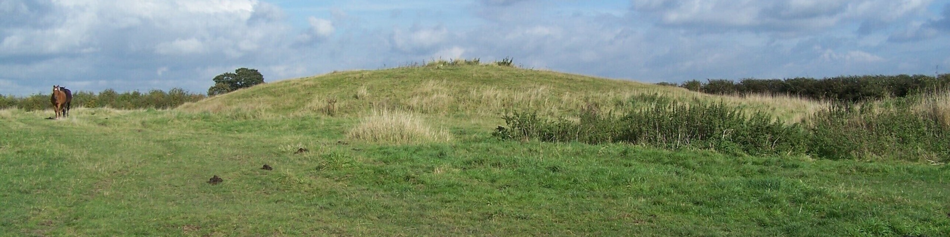 One of the remaining burial mounds that are left by the side of the once very important road.