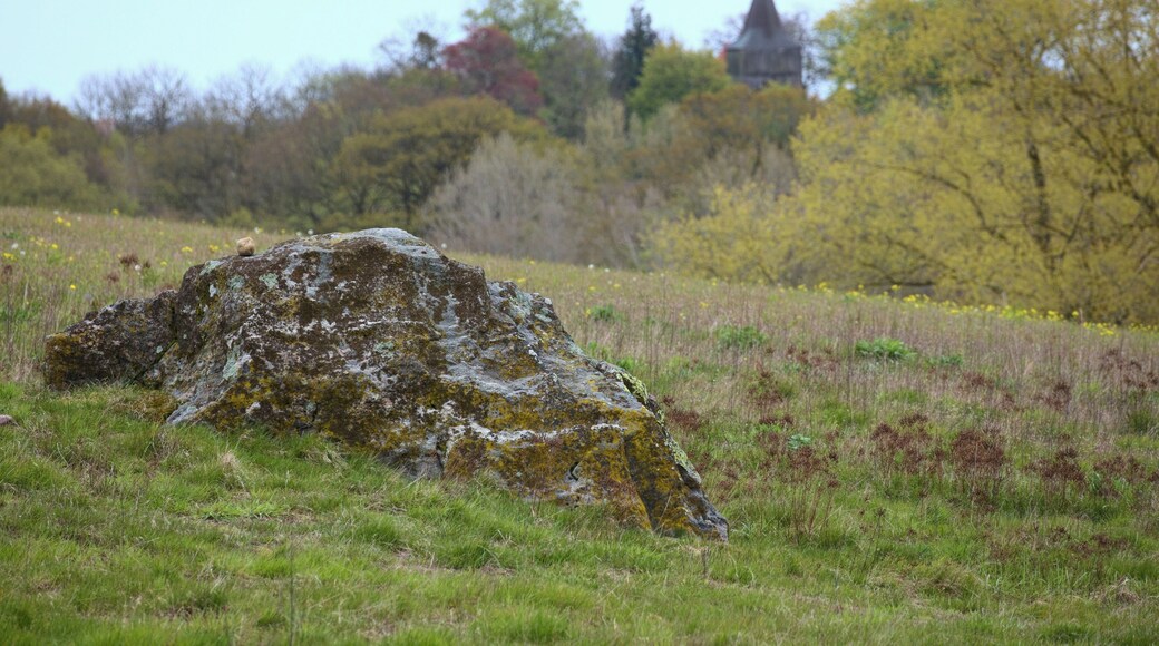 Findling bei Hohendorf mit der Kirche des Ortes im Hintergrund.