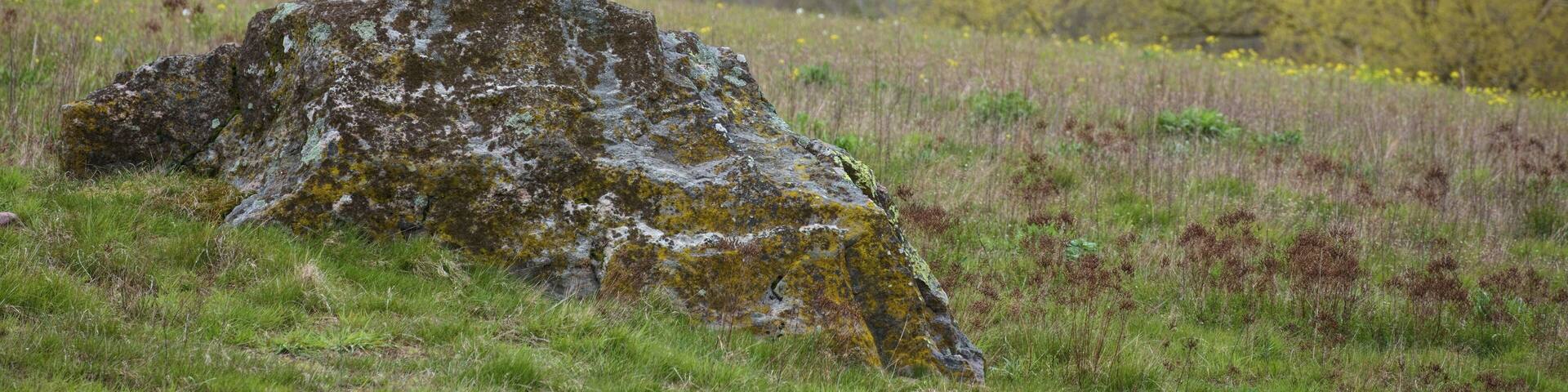 Findling bei Hohendorf mit der Kirche des Ortes im Hintergrund.