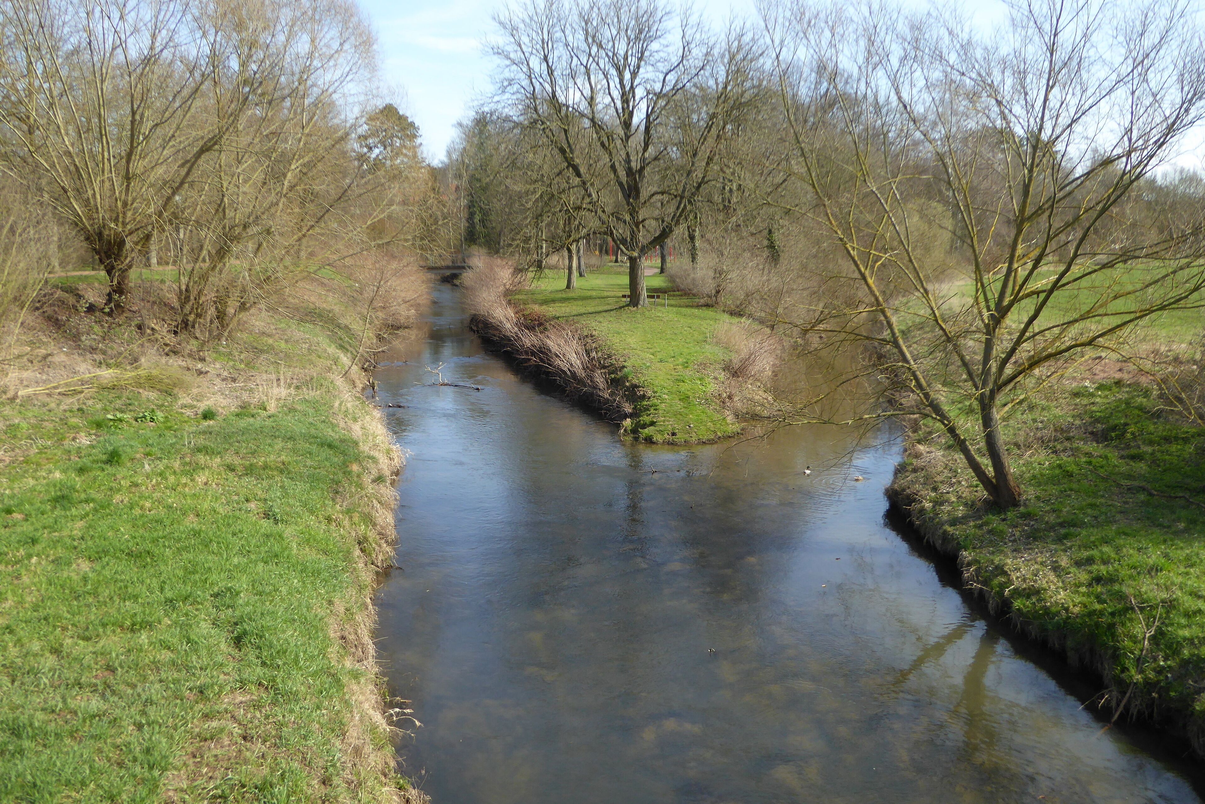 A narrow river flowing through a grassy area with trees on both sides.