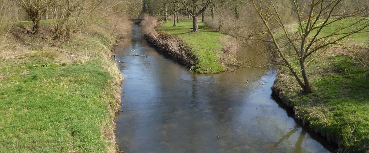 A narrow river flowing through a grassy area with trees on both sides.
