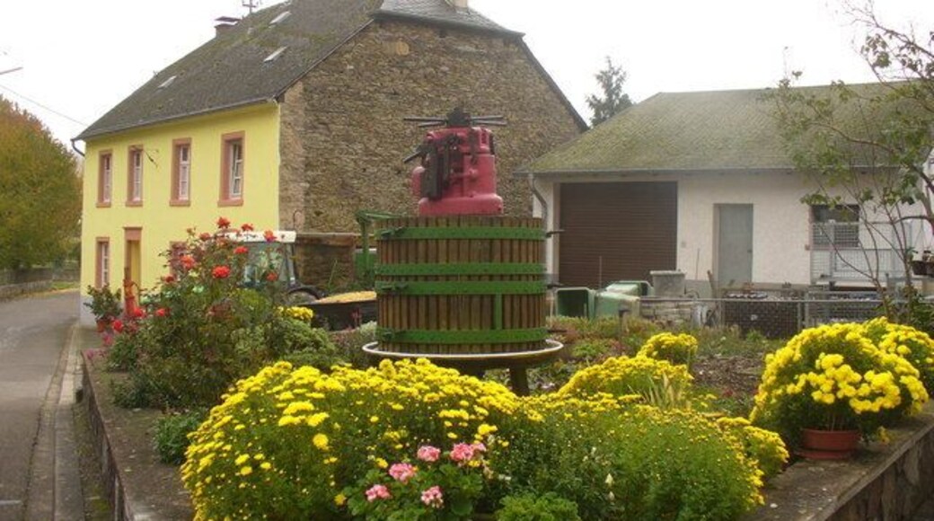 Herbstliche Stimmung in Kluesserath
