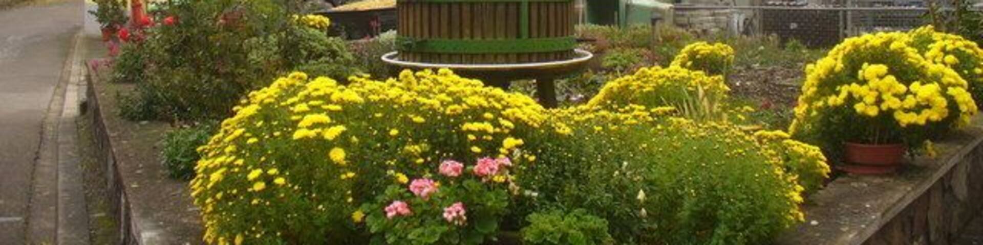 Herbstliche Stimmung in Kluesserath