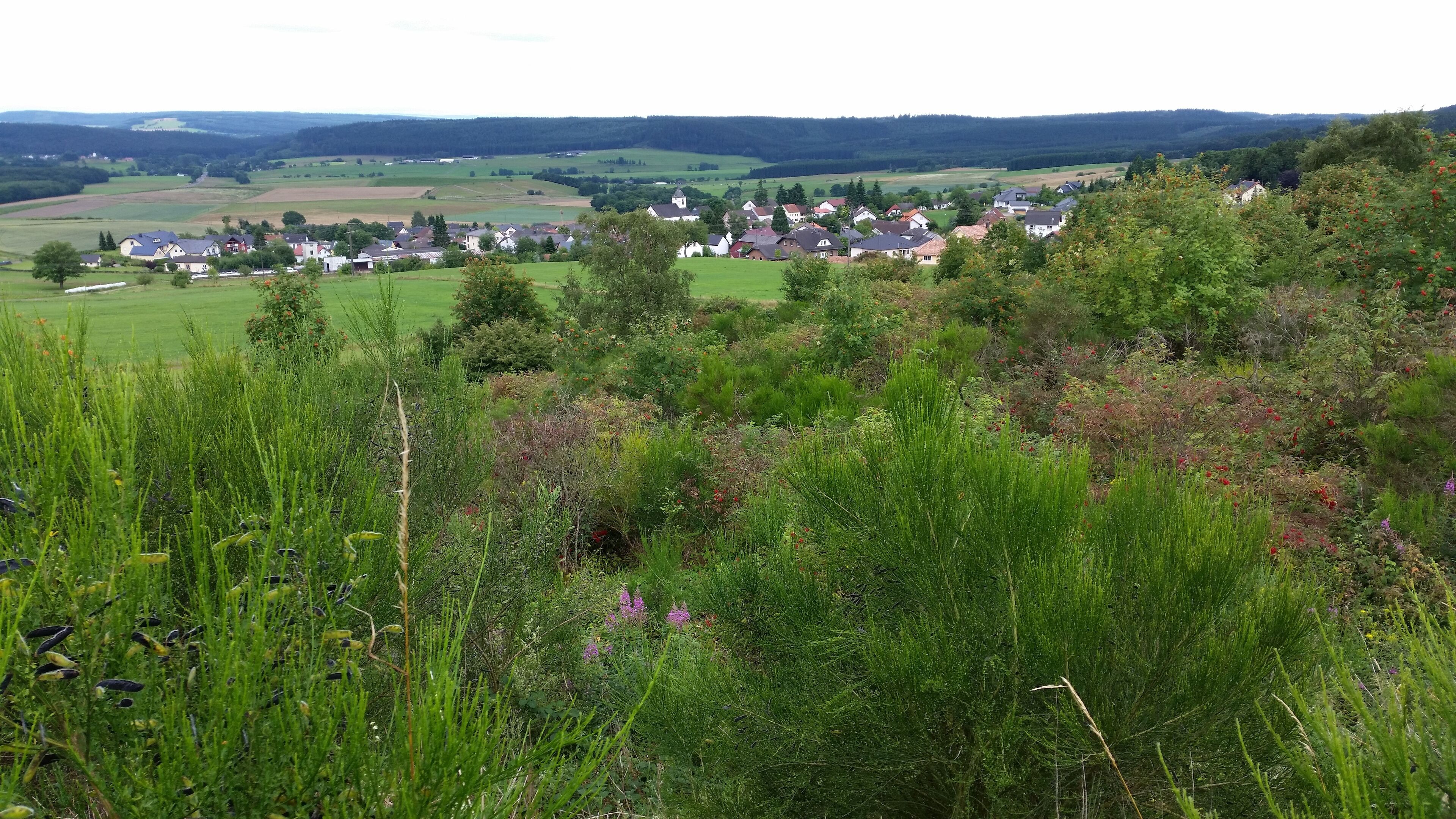 A village nestled in a valley with rolling hills in the background.
