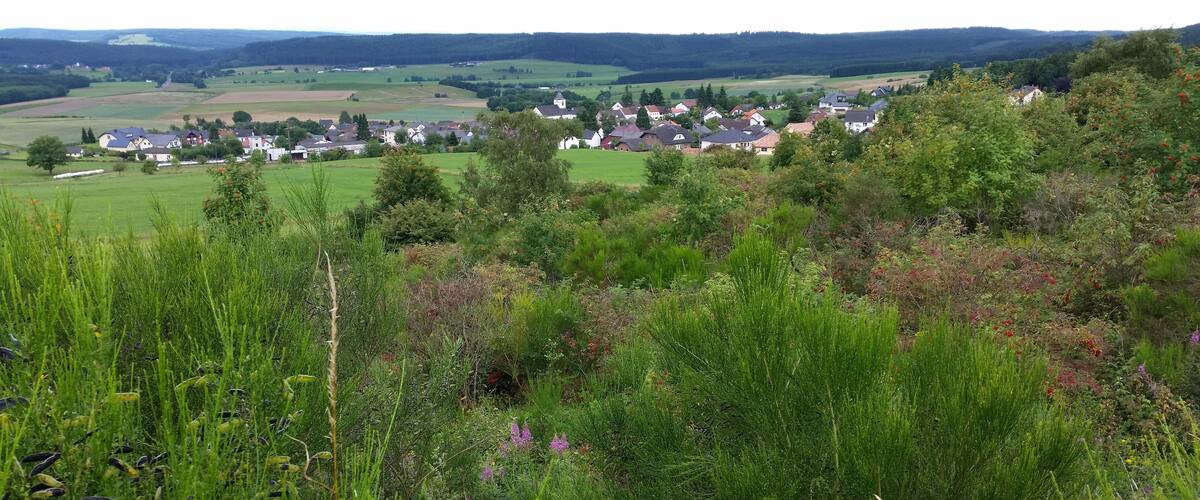 A village nestled in a valley with rolling hills in the background.