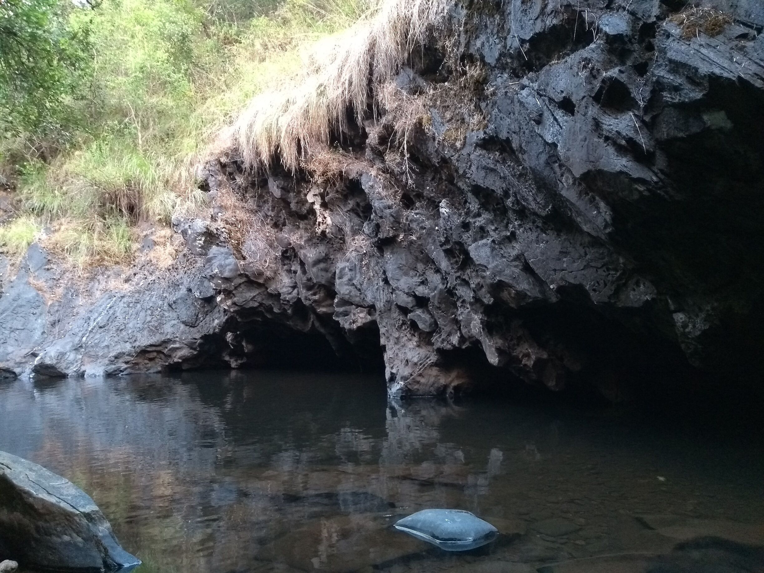 And here's the natural swimming pool! :)  #WaterfallWithPool #Mullodi #Kudremukh #Karnataka 
