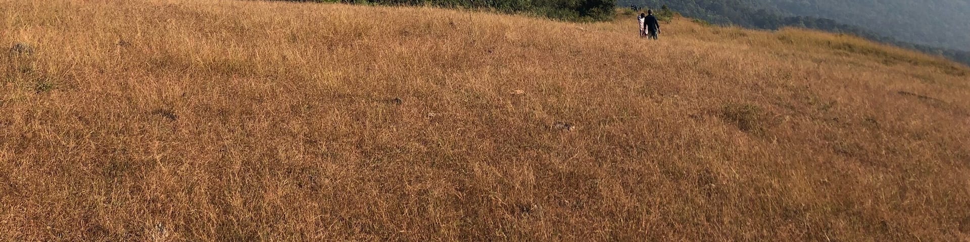 The Kanive View Point overlooking Rani Jheri and Ballalarayana Durga fort