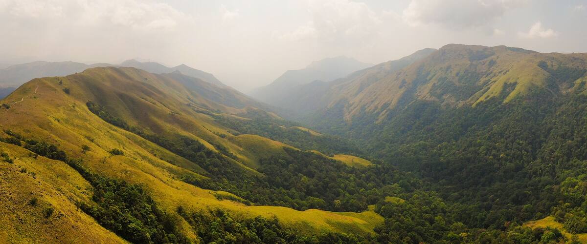 A valley with rolling hills and dense forested areas.