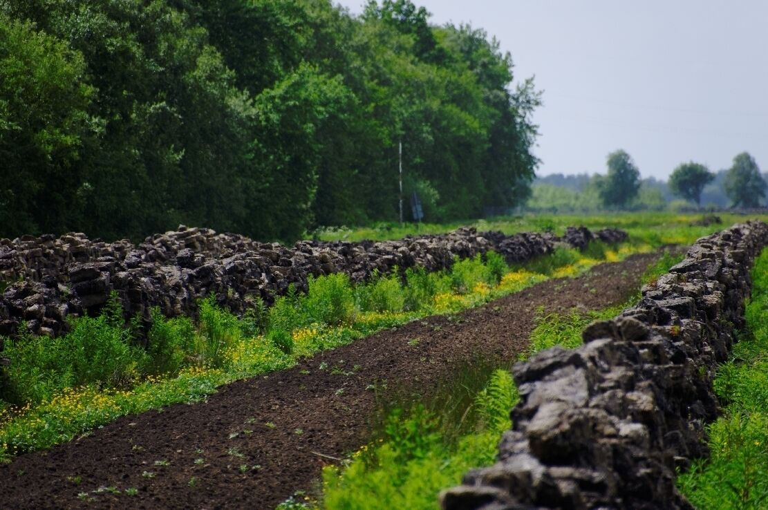 Wischhafen Neulanderrmoor -Torfabbau-