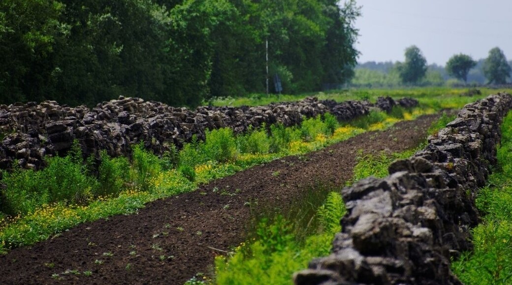 Wischhafen Neulanderrmoor -Torfabbau-