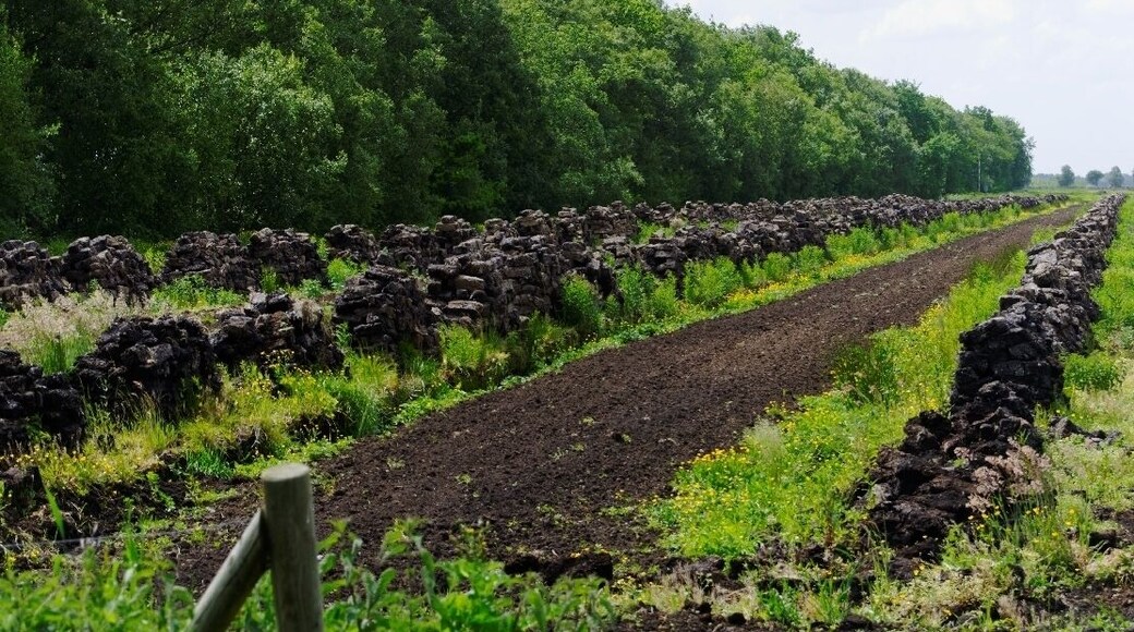 Wischhafen Neulanderrmoor -Torfabbau-