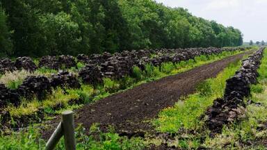 Wischhafen Neulanderrmoor -Torfabbau-