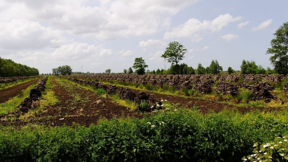 A rural landscape with terraced fields and a stone wall.
