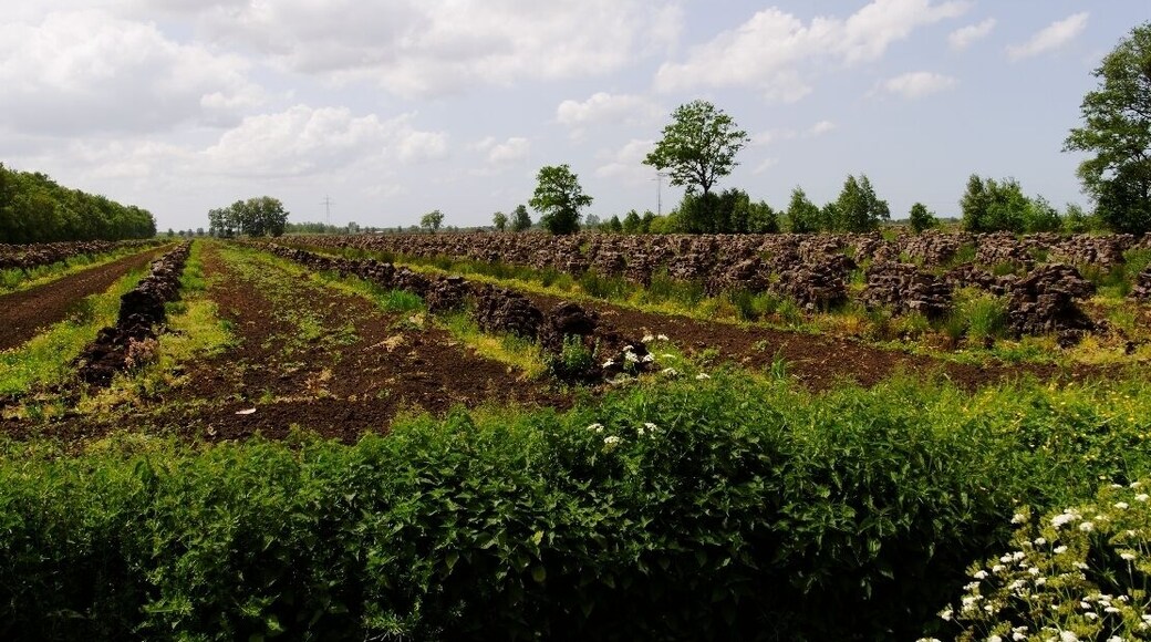Wischhafen Neulanderrmoor -Torfabbau-