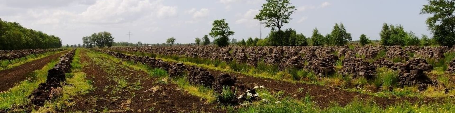 Wischhafen Neulanderrmoor -Torfabbau-