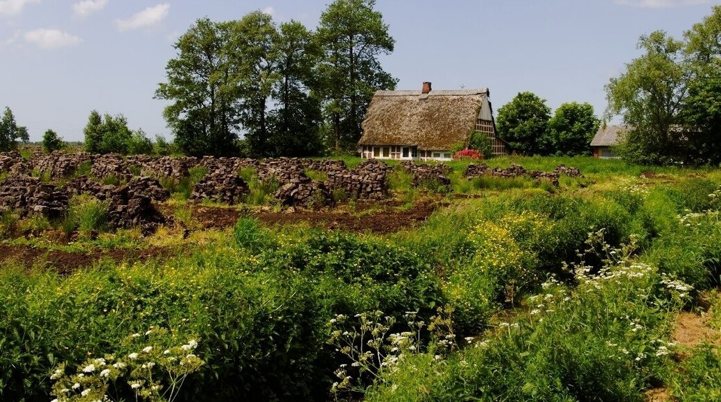 Wischhafen Neulanderrmoor -Torfabbau-