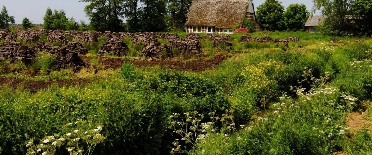 Wischhafen Neulanderrmoor -Torfabbau-