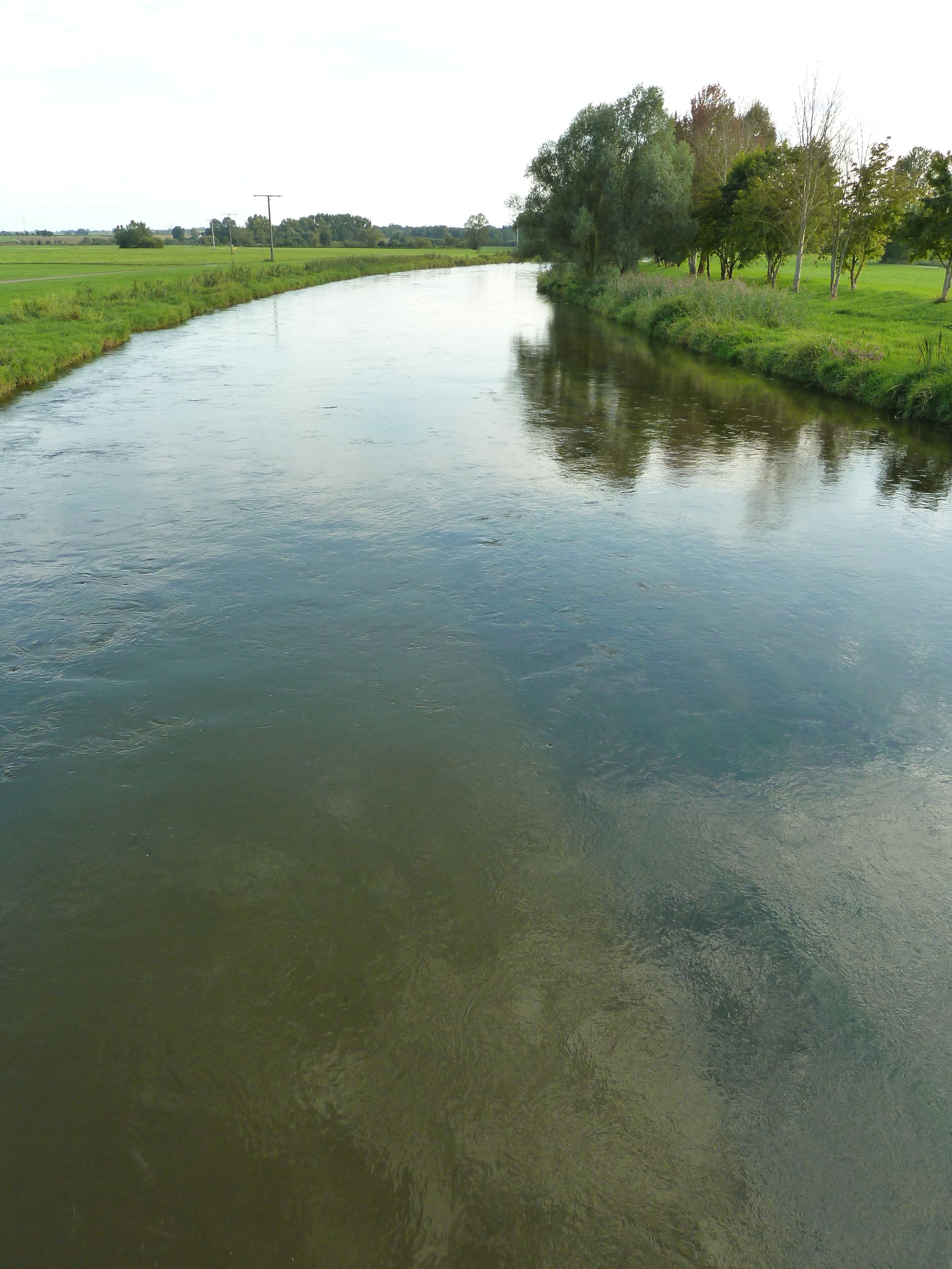 (NSG:BW-4.313)_Flusslandschaft Donauwiesen zwischen Zwiefaltendorf und Munderkingen. Donau bei Daugendorf, Riedlingen