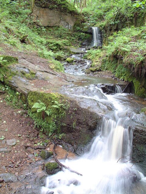 Waterfall at Fairy Glen, Appley Bridge. Lovely woodland walk near Appley Bridge