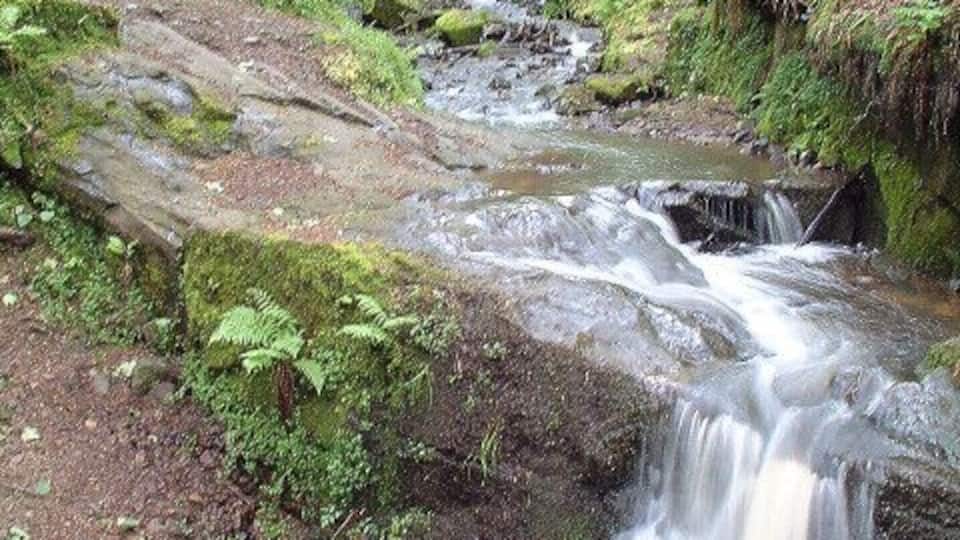 Waterfall at Fairy Glen, Appley Bridge. Lovely woodland walk near Appley Bridge
