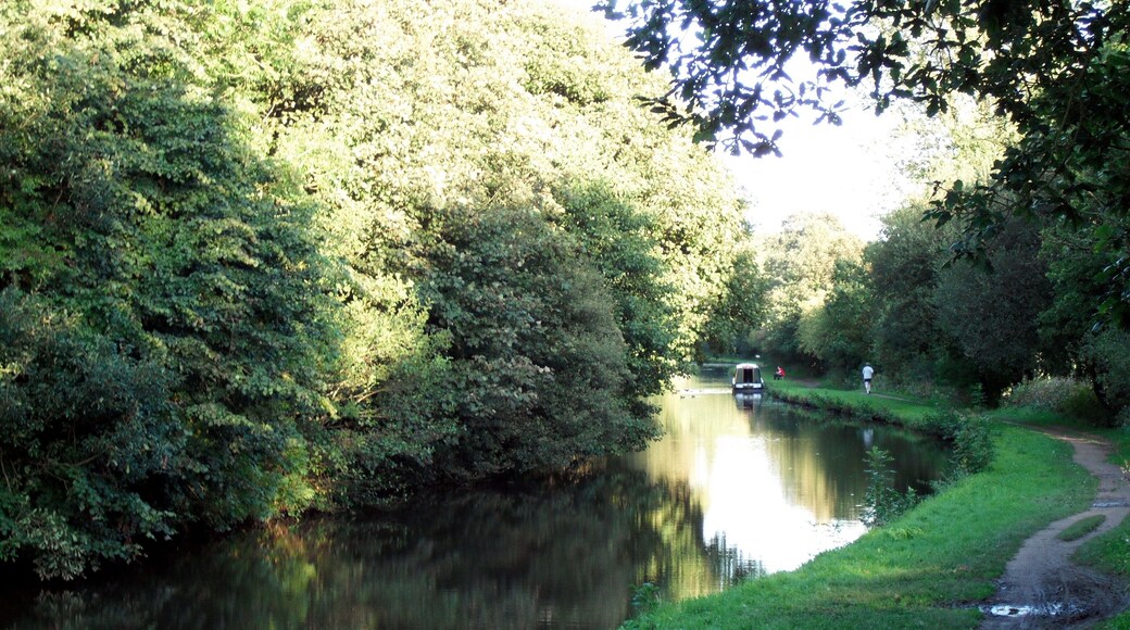 Canal and towpath. The Leeds and Liverpool canal just to the east of Bridge no.40