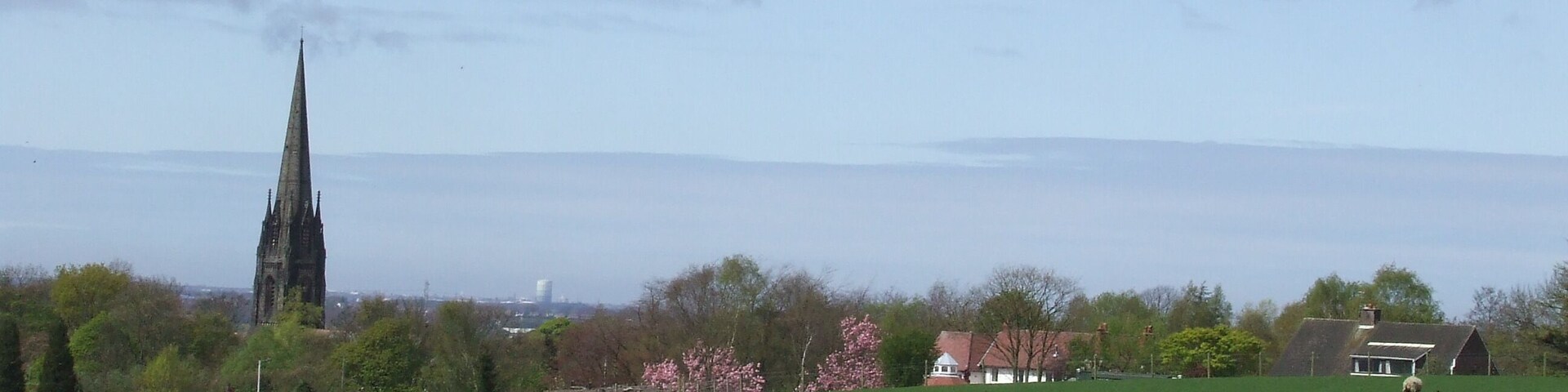 Sheep grazing, Parbold