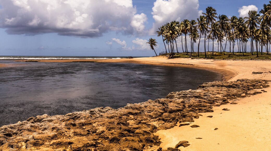 A Barra do Rio Inhambupe, em Baixio, Bahia - Brasil