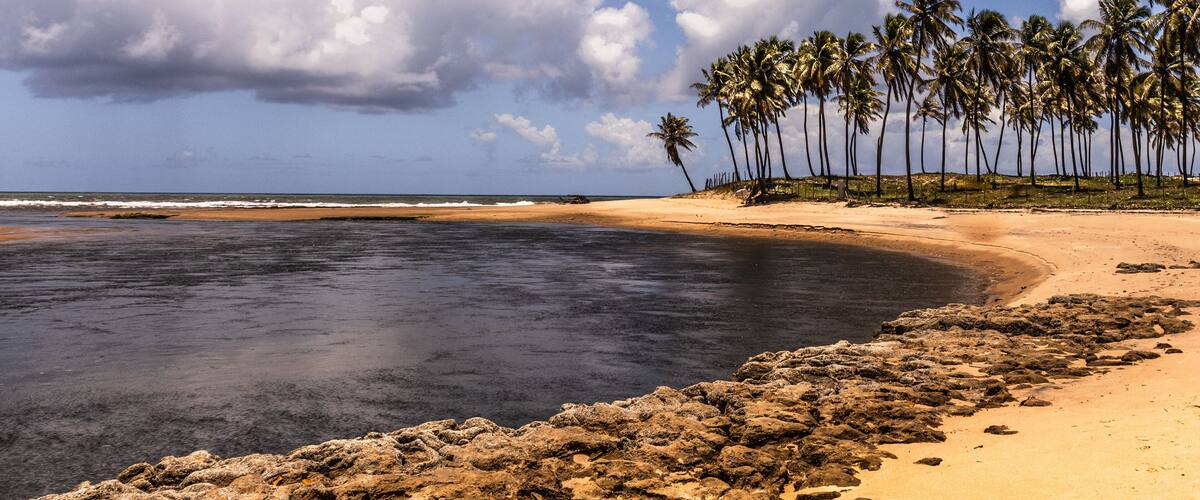 A beach with a rocky shoreline, palm trees, and a clear sky.