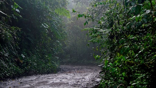 Vargem Grande Paulista